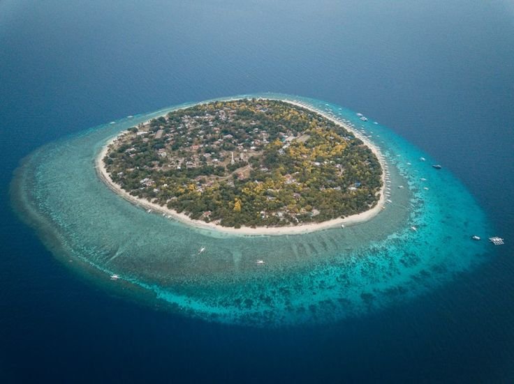 Balicasag island hopping
