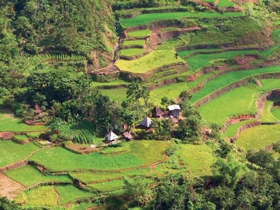 Ancient Banaue Rice Terraces in Ifugao