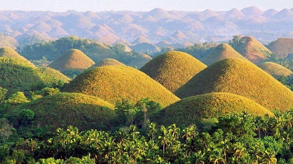 Aerial view of Chocolate Hills in Bohol