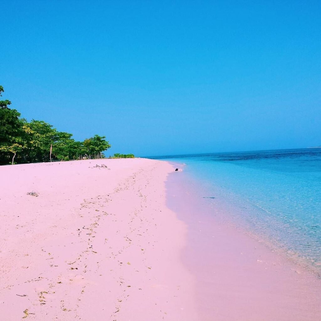 Unique pink sand beach at Great Santa Cruz Island